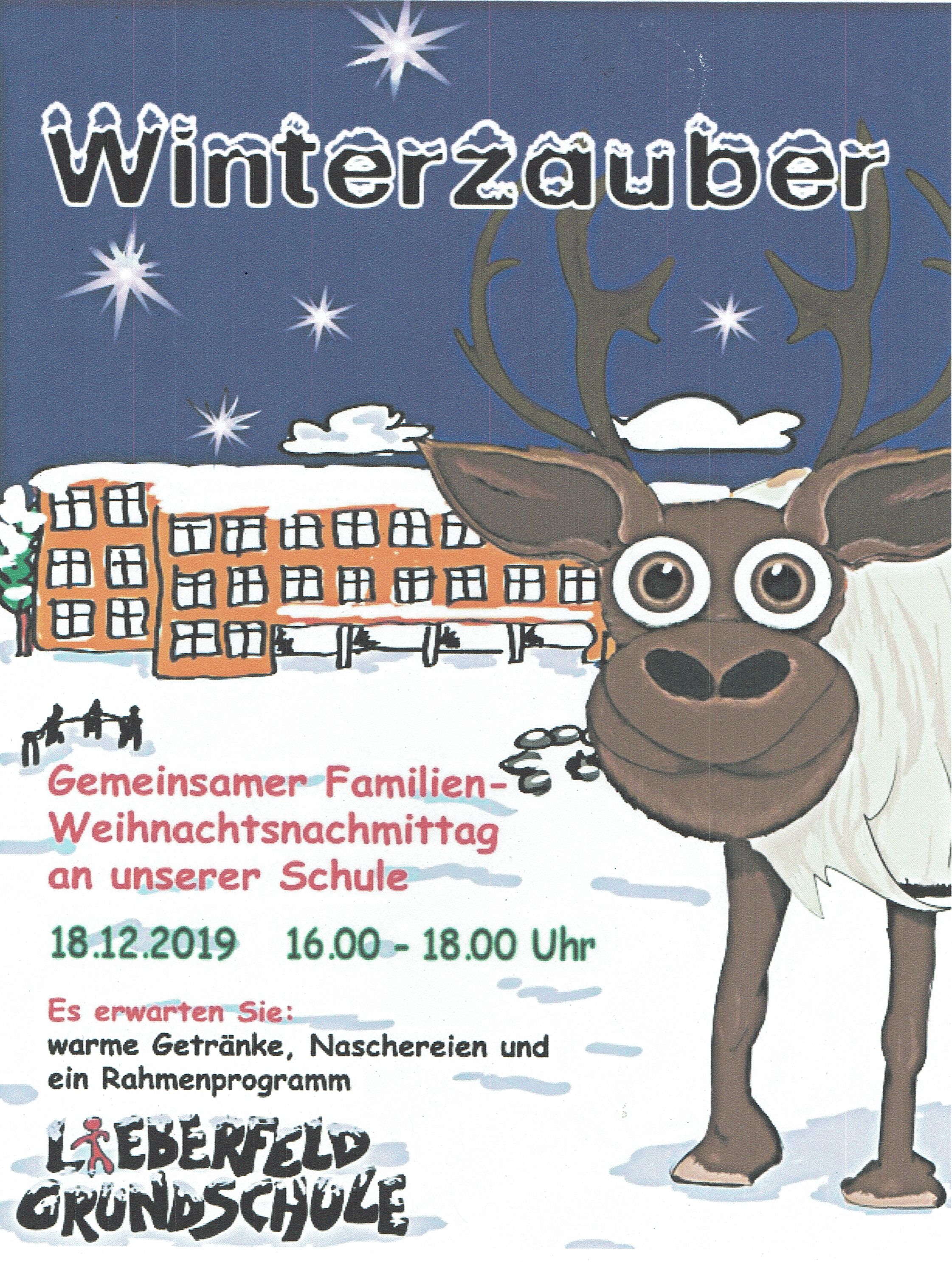 scan winterzauber