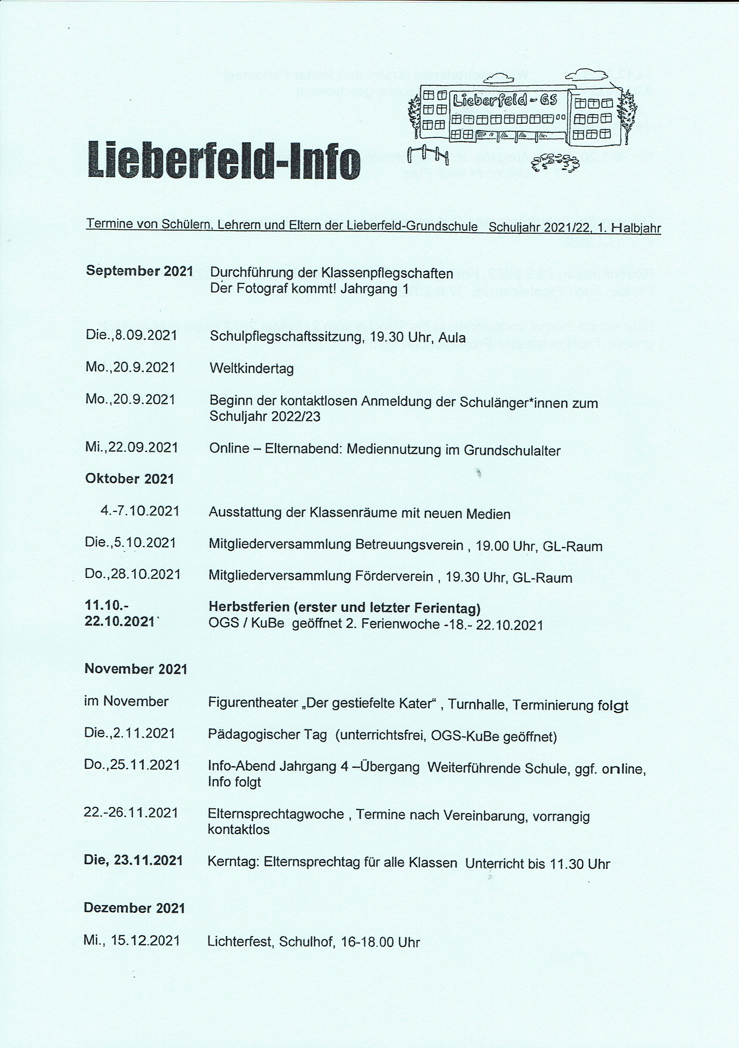Lieberfeld Info21 221pg